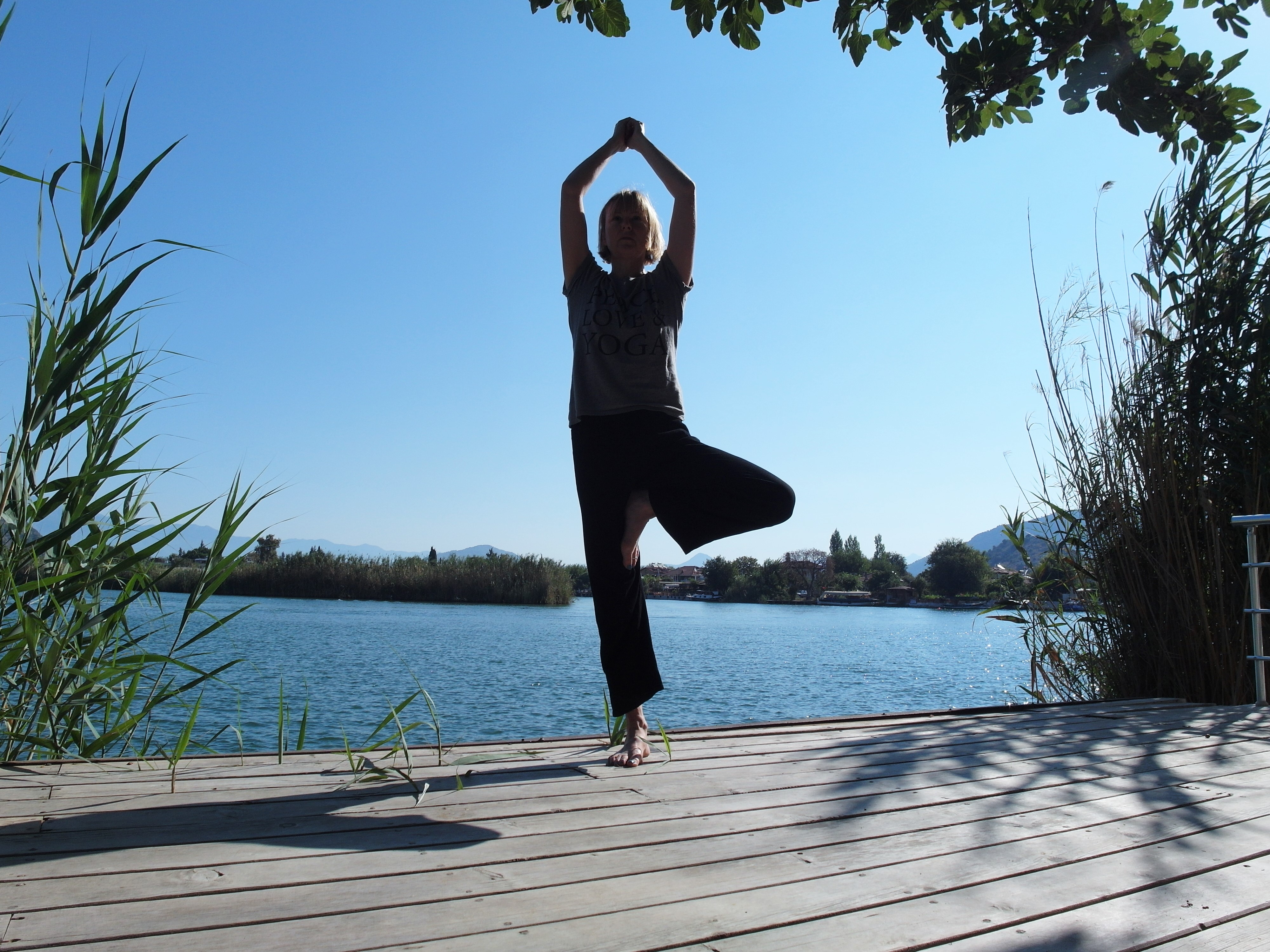 Somatic Yoga with Catherine Annis in Minehead-image