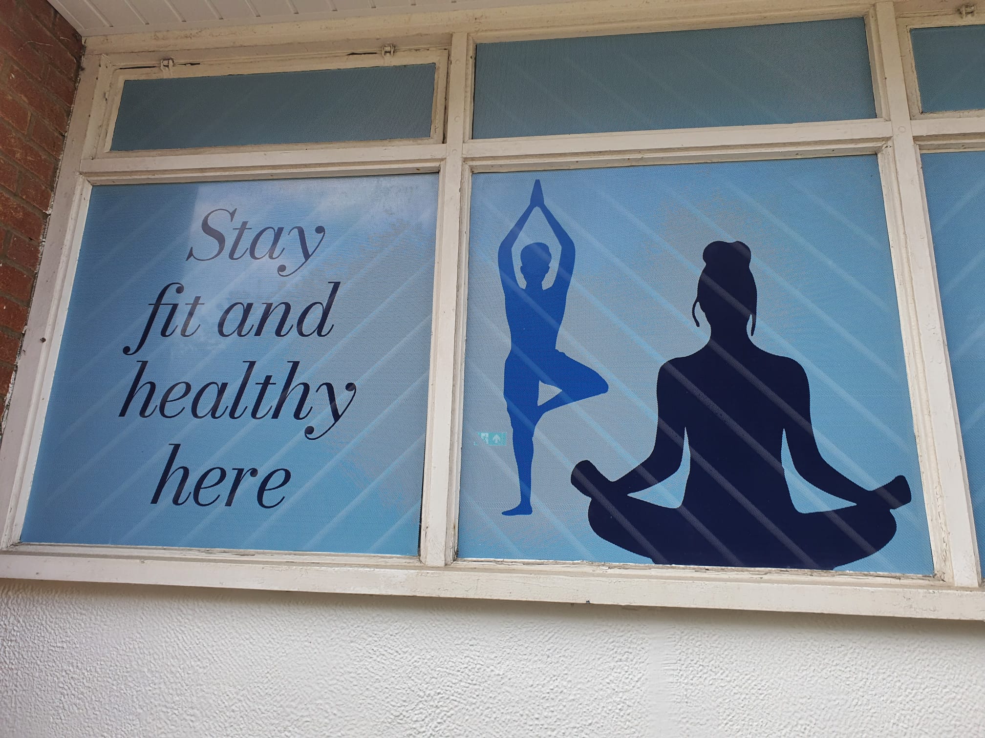 Gentle Yoga Class (in-person)-image